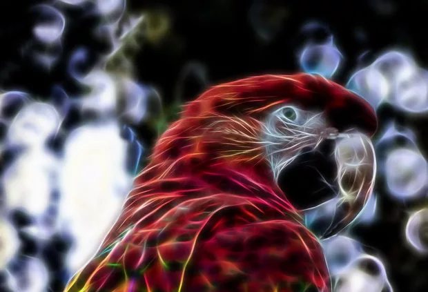 Екранна снимка към: Може ли да покажа? Защо трябва да ползвам Clone печата като инструмент?