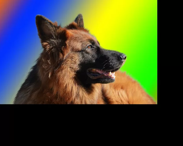 Екранна снимка от форума